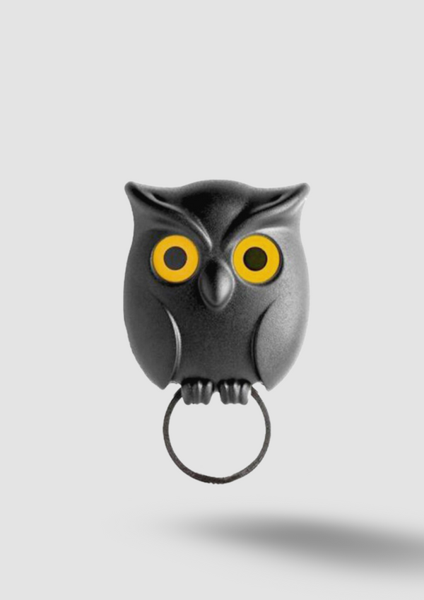 Night Owl Magnetic Wall Key Holder